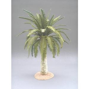 Small date palm tree 
