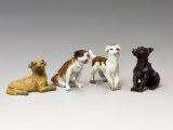 HK239 A Small Pack of Dogs (Gloss)