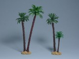 TM CLB6021 Coconut Palms