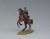 TM TMGC001 Cavalry Captain PRE ORDER 