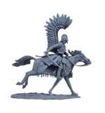 TM VEA6005 Polish Winged Hussars PREVIEW